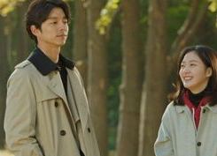 穿书吃瓜娱乐圈小说,吃瓜群众逆袭成顶流