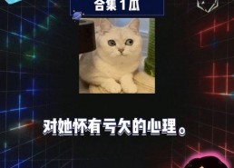 娱乐圈吃瓜爆料游戏教程,揭秘明星幕后故事，轻松上手成为“瓜王”