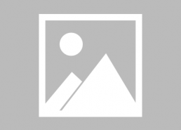 娱乐吃瓜酱内向的小猫,内向小猫的娱乐吃瓜日常