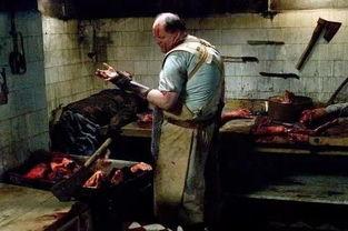 杀人迷宫,揭秘杀人迷雾中的真相与谜团